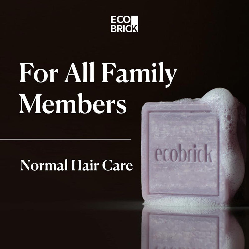 ECOBRICK Mild Acidic Shampoo Bar - Normal Hair Care