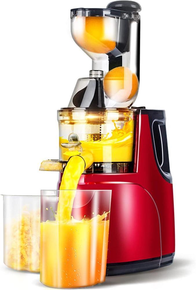 300W Slow Masticating Juice - Gamplanet