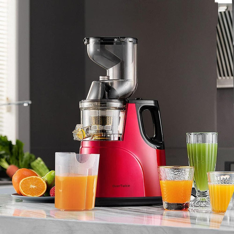 300W Slow Masticating Juice - Gamplanet