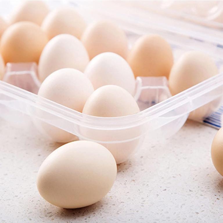 Imported Plastic Egg Storage Box 15 Egg Capacity Tray and Container - Gamplanet